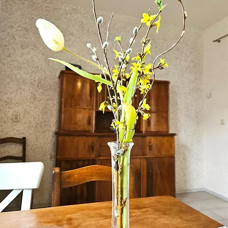 Apartment Fewo Hottelstedt Hottelstedt